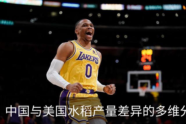 中国与美国水稻产量差异的多维分析