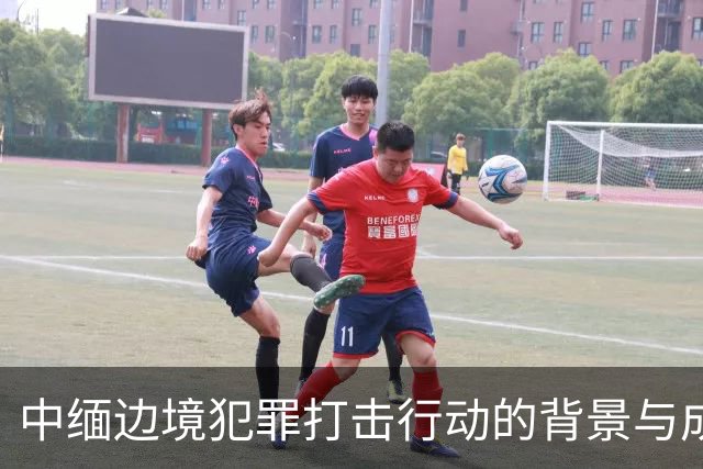 中缅边境犯罪打击行动的背景与成效分析