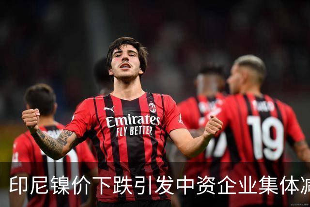 印尼镍价下跌引发中资企业集体减产现象研究