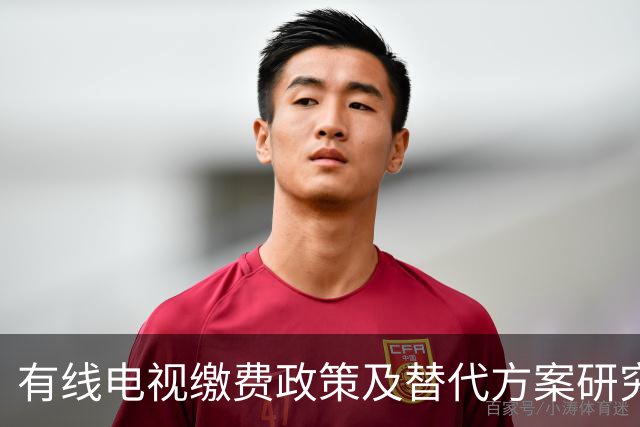 有线电视缴费政策及替代方案研究